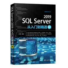 SQLServer2019从入门到精通SQL基础知识数据类型分析聚合函数窗口函数导入导出数据电脑数据库入门书数据库基础教程计算机应用书籍