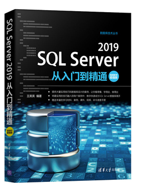 SQLServer2019从入门到精通SQL基础知识数据类型分析聚合函数窗口函数导入导出数据电脑数据库入门书数据库基础教程计算机应用书籍