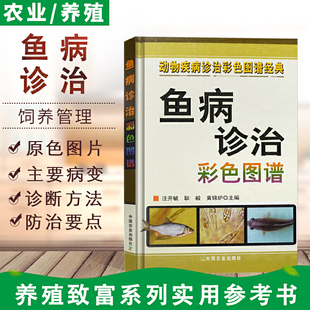 大全 鱼病诊治彩色图谱养鱼技术书养鱼书籍鱼病书籍鱼病防治鳝鱼淡水鱼鲈鱼黄骨鱼草鱼养殖技术鱼病图谱常见鉴别诊断 全彩版