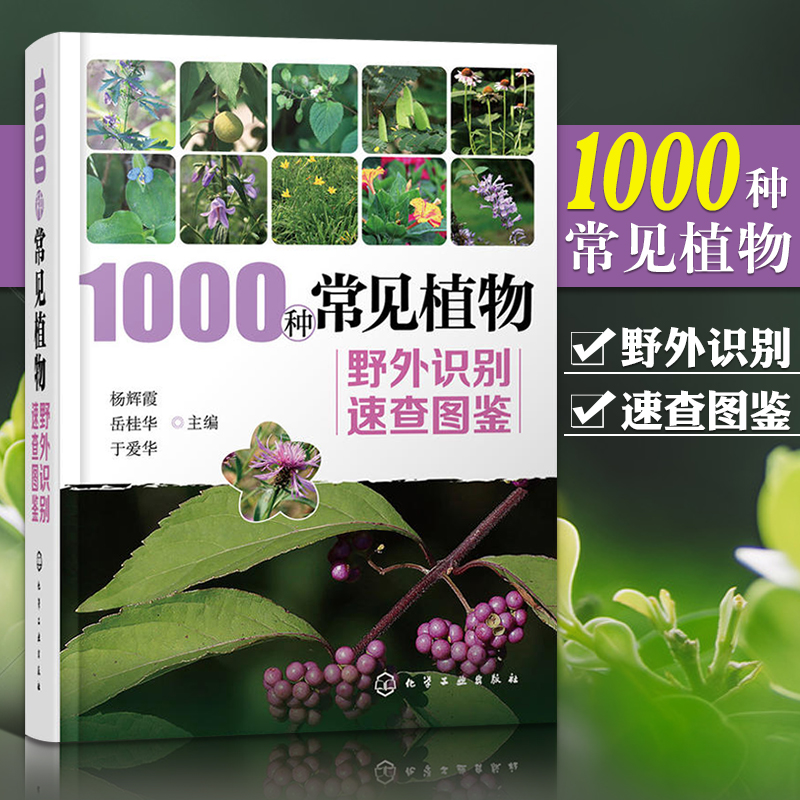 正版 1000种常见植物野外识别速查图鉴 野外植物识别手册药用植物生态学园艺植物栽培学图谱原植物分类自然鉴别图册与应用图典书籍