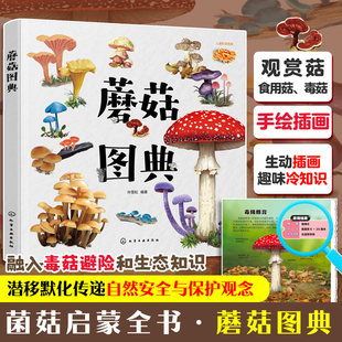 蘑菇图典 孙雪松 蘑菇图鉴大百科书科普大全科普类读物书籍 收录了形态各异的蘑菇 儿童蘑菇学习科普图书蘑菇品种种类识别鉴别图谱