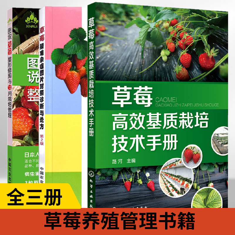 【全3册】草莓高效基质栽培技术手册+草莓疑难杂症图片对照诊断与处方(第二版)+图说草莓整形修剪与12月栽培管理(园艺大师系列