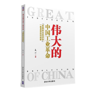 伟大的中国工业革命 破解中国工业革命之谜 文一著 政治经济学原理批判纲要 经济学理论基础书 经管励志经济类书籍