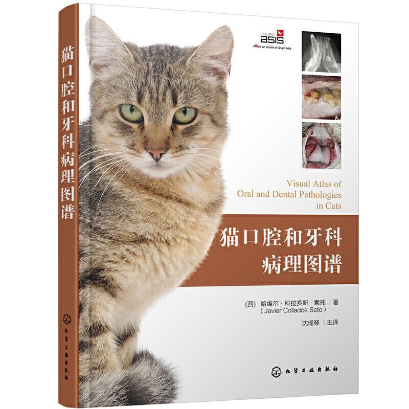 猫口腔和牙科病理图谱 猫牙科病理图谱手册 犬猫组织学牙齿结构 犬猫齿系图谱 小动物牙周探查图例 宠物医生兽医入门参考书籍