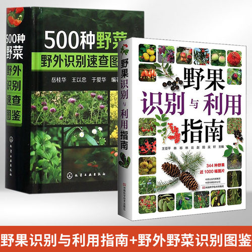 野果识别利用指南500种速查图鉴
