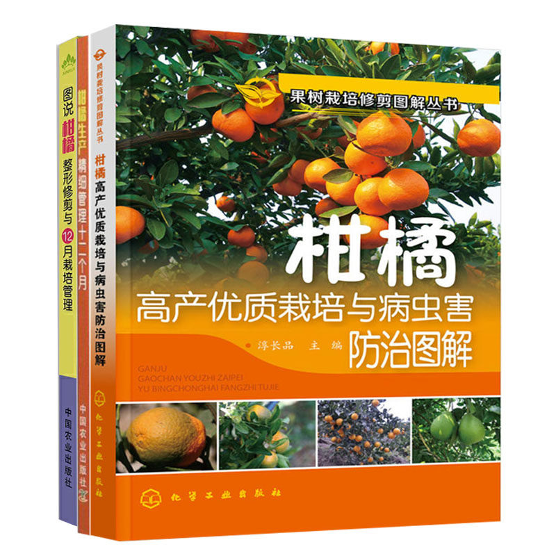 全3册 柑橘生产精细管理十二个月+图说柑橘整形修剪与12月栽培管理+柑橘高产优质栽培与病虫害防治图解柑橘栽培新技术果树种植技术属于什么档次？