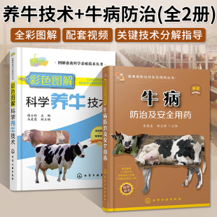 牛病防治及安全用药 两册养牛书籍大全兽医牛病全书肉牛养殖技术牛饲料配方牛病诊断母牛饲养 彩色图解科学养牛技术