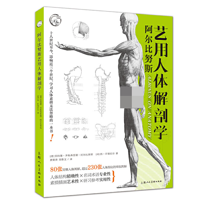 阿尔比努斯艺用人体解剖学 素描书绘画入门自学零基础初学者教材画册画画书籍基础教程画集美术生静物头像结构范本技法素描画人物
