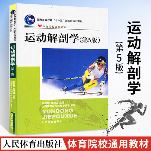 运动解剖学