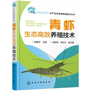 青虾生态高效养殖技术 龙虾养殖技术大全养虾书籍对虾苗种培育池塘高效养殖与疾病防治人工繁殖科学养虾书淡水虾基础养殖手册