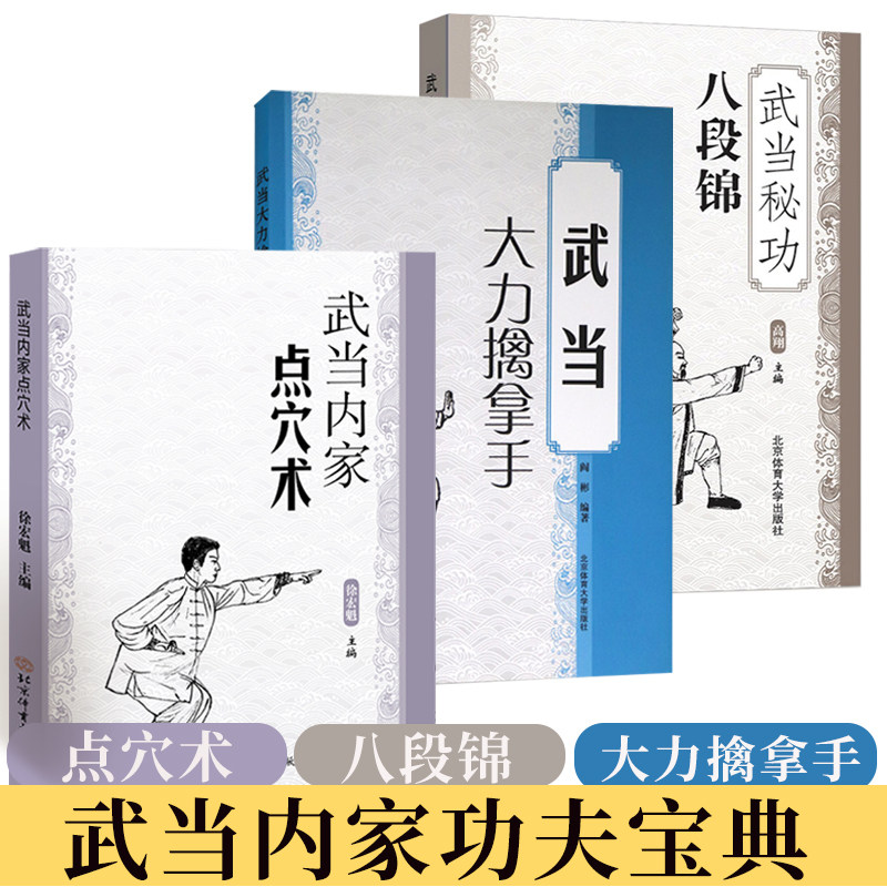 武当内家点穴术 徐宏魁点穴书籍点穴绝技武功秘籍真书点穴与解穴古书内功心法少林点穴气功少林武术气功运动健身防身自卫少林内功