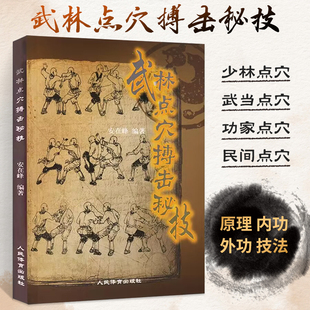 武林点穴搏击秘技 点穴气功 少林武术气功运动健身防身自卫功法古少林真本少林易筋经洗髓经内功诠真武术套路秘籍 人民体育出版社
