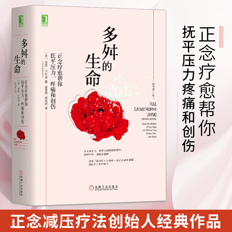 生命正念疗愈抚平压力疼痛创伤