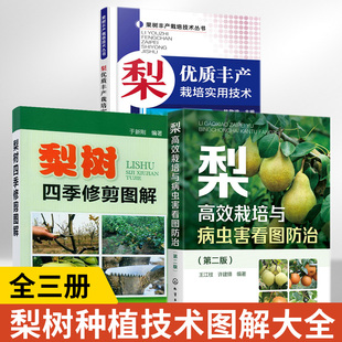 全3册 梨优质丰产栽培实用技术+梨栽培与病虫害防治+梨树四季修剪图解 梨树种植技术大全书果树病虫害图谱与防治嫁接技术图解书