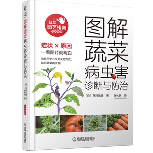 图解蔬菜病虫害诊断与防治 草间祐辅 蔬菜栽培种植技术大全 辣椒青椒茄子黄瓜冬瓜豇豆大白菜紫甘蓝胡萝卜种植病虫害防治技术书