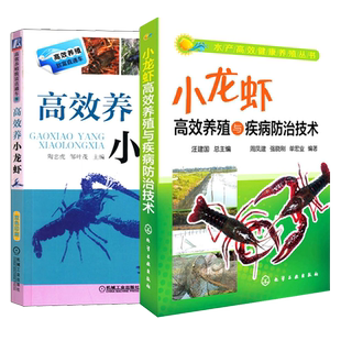 小龙虾高效养殖与疾病防治技术+高效养小龙虾 小龙虾养殖技术大全养虾书籍小龙虾苗种培育池塘高效养殖与疾病防治人工繁殖科学养殖