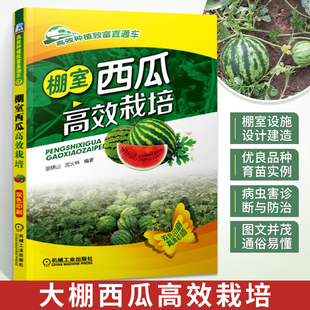 棚室西瓜高效栽培 高效种植致富直通车 西瓜种植技术西瓜栽培书籍 育苗育种教程 大棚种西瓜技术 病虫害防治施肥用药指南教程