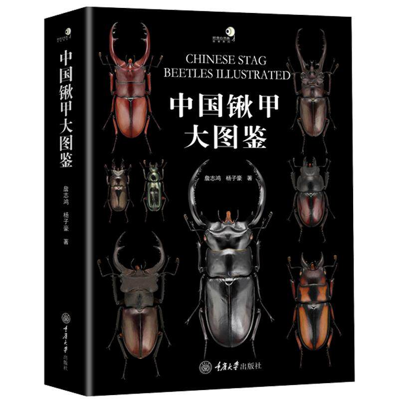 精装 **锹甲大图鉴 詹志鸿 杨子豪著GK 系统性收纳**锹甲科彩色图鉴巨著 锹甲科昆虫研究科普百科 34属369种甲虫彩色图鉴