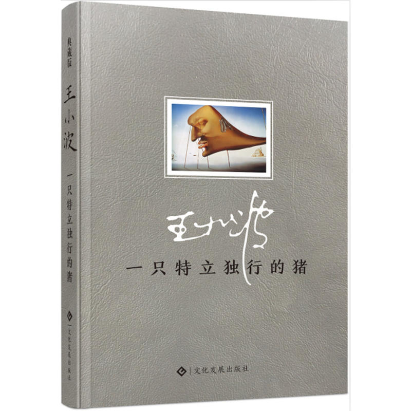 一只特立獨行的豬 精裝 沉默的大多數我的精神家園白銀時代青銅時代黃金時代王小波經典文學隨筆 王小波的書作品文集 現當代文學