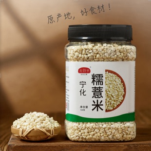 宁化糯薏米720克/罐 优质新米杂粮薏仁米软糯熬粥 莲子薏米绿豆粥