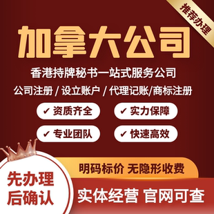 注册海外公司香港英国美国新加坡BVI群岛加拿大离岸账户年审做账