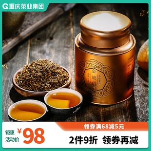 武夷山金骏眉红茶茶叶礼盒装 高档250g 正宗小铁盒罐装 茶装