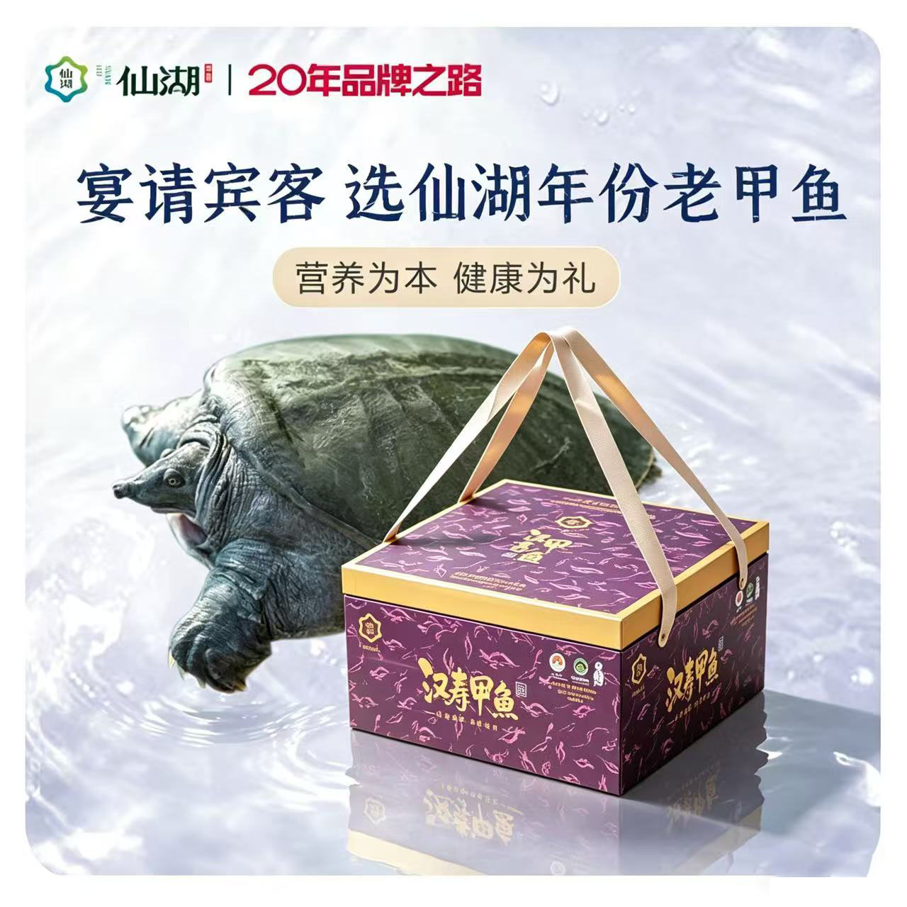汉寿甲鱼仙湖8年老甲鱼中华鳖图片