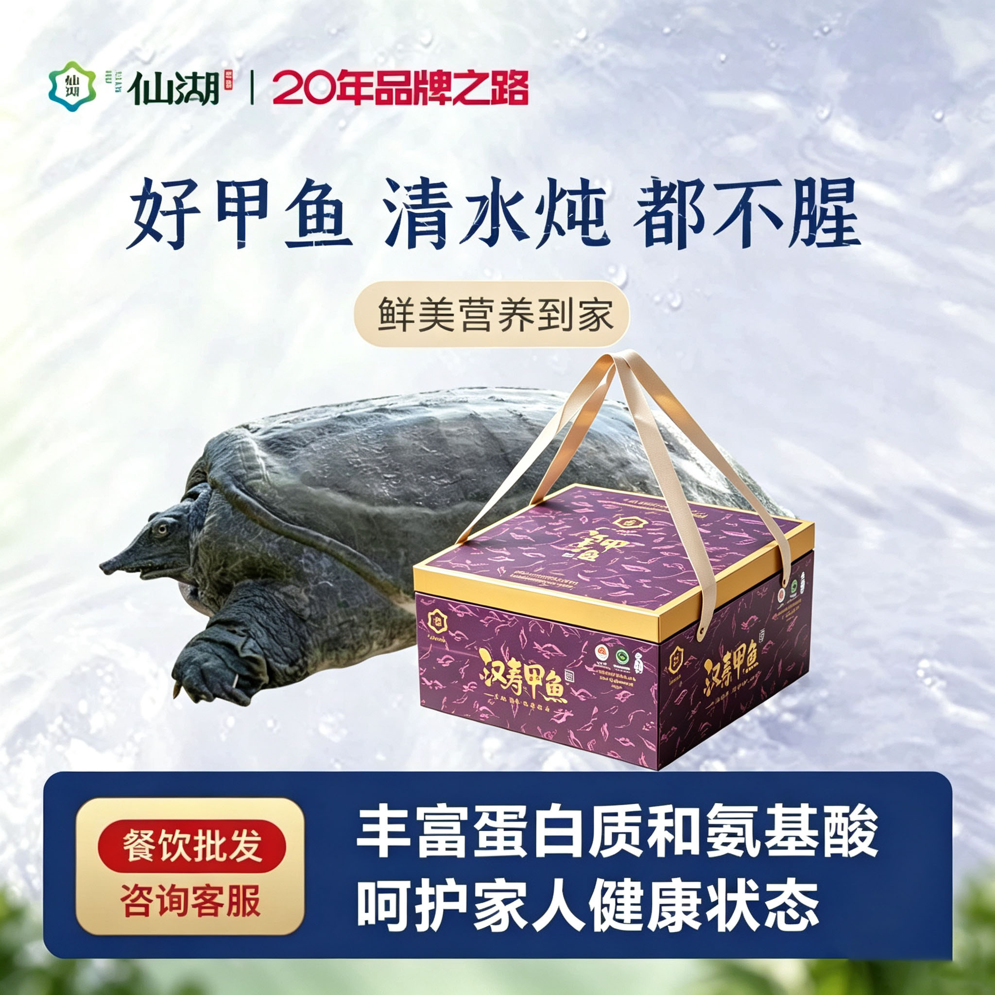 甲鱼8年长食补术后调理图片