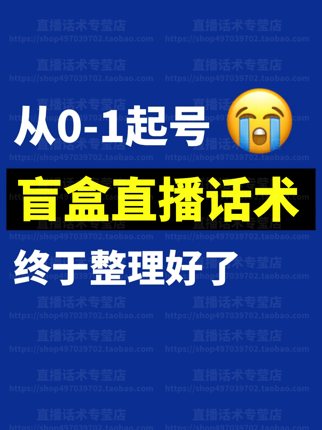 盲盒直播话术主播大全新人带卖货主播间话术淘宝音抖快手电子版-封面