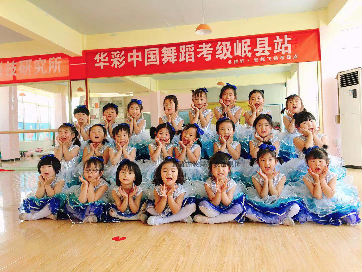 六一儿童演出服舞蹈幼儿园小荷风采下雪了亮片蓬蓬裙公主裙表演服