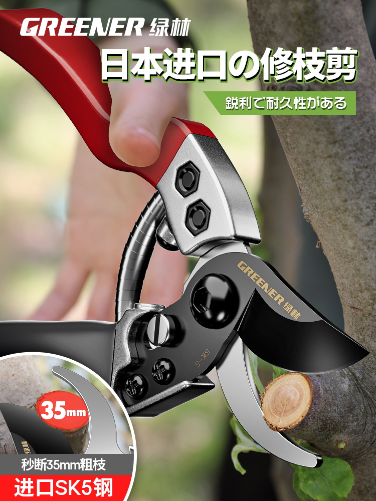 绿色森林园艺修剪剪刀日本进口Sk5果树修剪枝专用剪刀花剪花枝剪