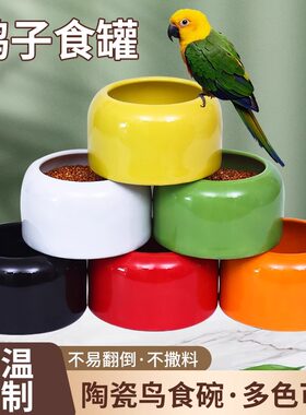 鸽子陶瓷食罐虎皮鹦鹉防撒喂鸟器