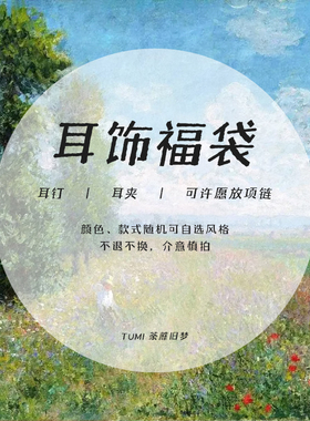 耳饰福袋盲盒耳钉耳环 夸张小巧款随机3件可选风格 拍下不退不换