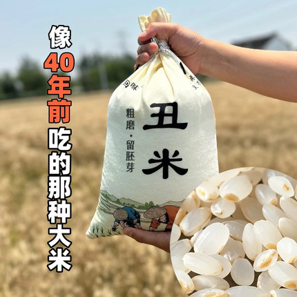 胚芽米 新米正宗粳米 自留种 丑米  农家品种 大米 不抛光