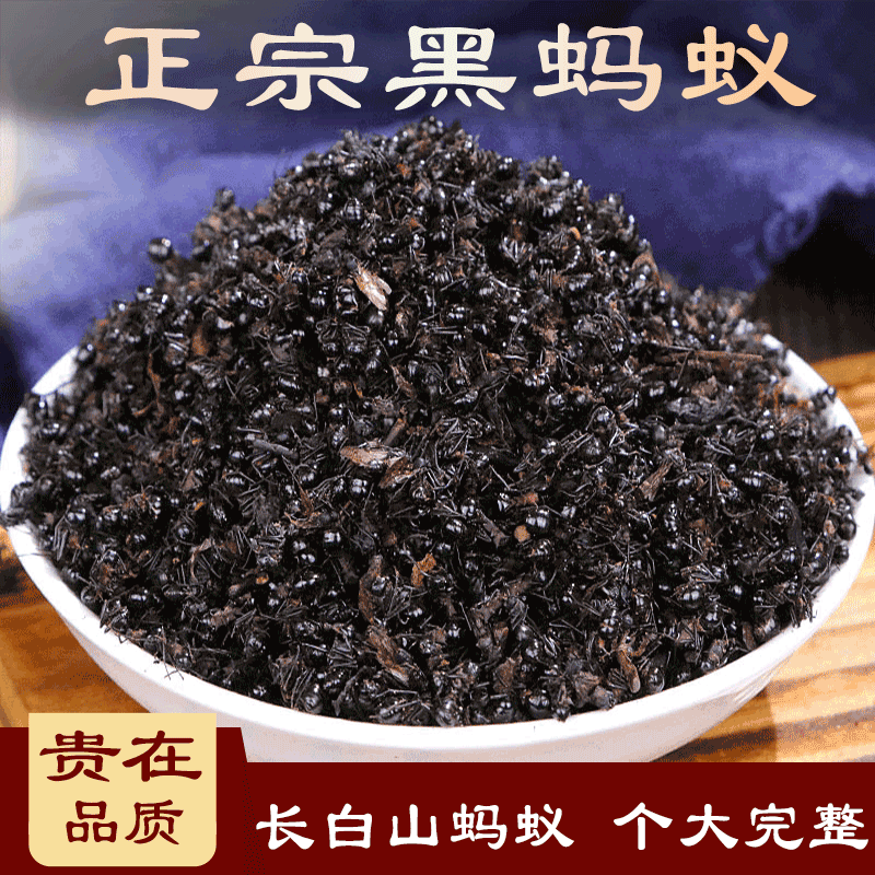 黑蚂蚁干500g拟黑多刺蚁可打黑蚂蚁粉蚁酸充鼎突多刺蚁双齿多刺蚁