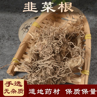 韭菜根中药材500克 丰本 草钟乳懒人菜 长生韭 中草药扁菜