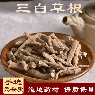 三白草根中药材塘边藕地藕百节藕过塘藕水莲藕九节藕天性草根