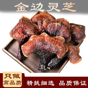 中药材金边灵芝赤灵芝整枝红林芝500克一斤切灵芝片干灵芝包邮