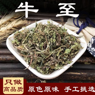 牛至中药材 500克小叶薄荷满坡香土香薷白花茵陈五香草土茵陈