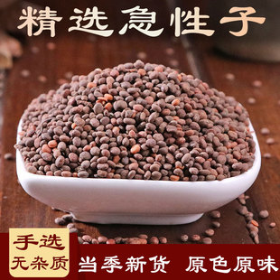 中药材急性子凤仙花子指甲花紫凤仙草子金凤花子灯盏花子指甲草子