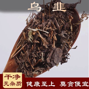 乌韭中药材雉鸡尾 孔雀尾 大叶金花草 小叶野鸡尾 蜢蚱参 石青苇