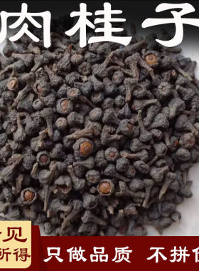 肉桂子中药材500克桂子桂木桂丁木桂子桂桐糠桂桂丁香桂香料肉柜