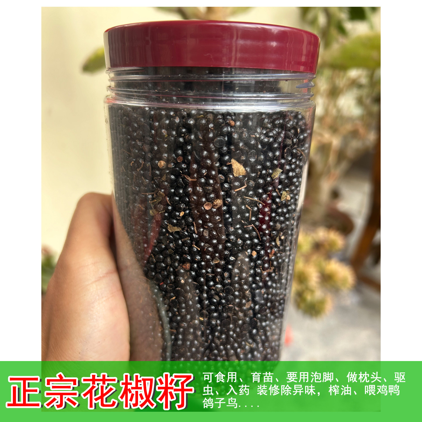 今年新花椒带籽鸽粮泡脚枕头种籽育苗入药可以食用山东农家花椒子
