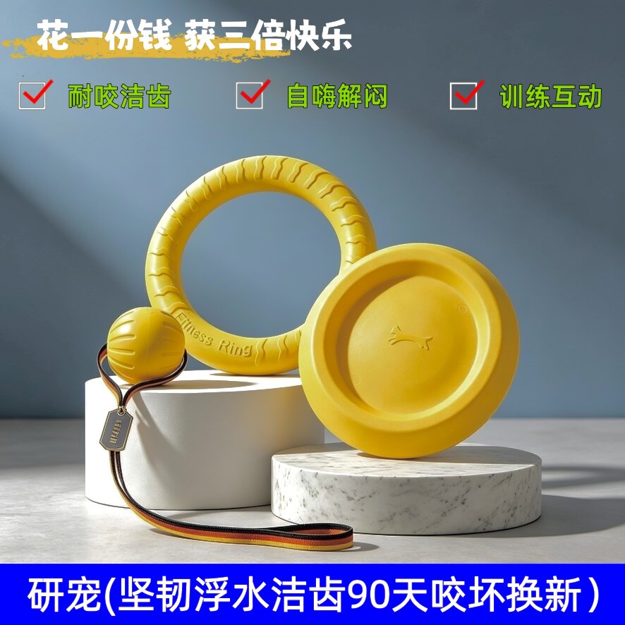 狗狗耐咬磨牙训犬互动拉环飞盘图片