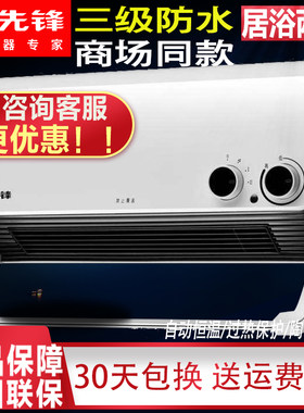 先锋暖风机壁挂式浴室DQ1710