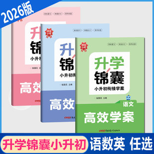 2026版神龙小考升学锦囊小升初衔接学案 语文数学英语 高效学案小升初六年级下册语数英小考真题卷系统总复习辅导资料书
