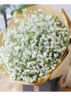 兰州城关区张掖路东方红广场酒泉路雁滩路鲜花店蛋糕店速递玫瑰