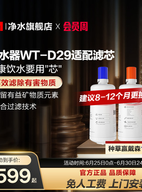 3M家用直饮净水器WT-D29型原装替换滤芯双子2000/WT-E20通用滤芯