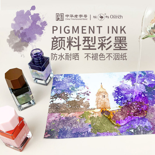 鸵鸟墨水钢笔淡彩蘸水笔墨水