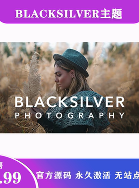 Blacksilver 汉化中文版|专业摄影照片展示博客WordPress主题